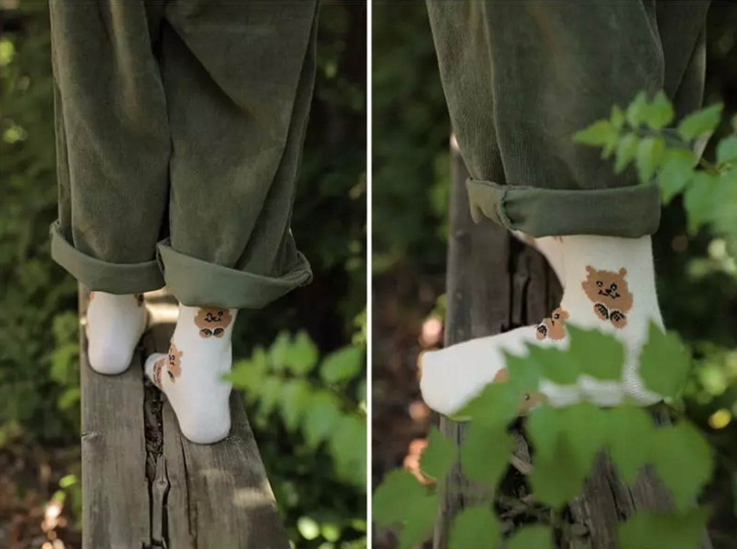 Bear Socks Set Socks Bien a Bien   